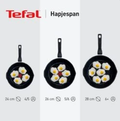 Tefal Robusto - Hapjespan - Ø26 Cm - Met Deksel -Greenpan Winkel 1192x1200 3