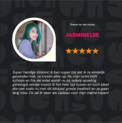 DONGOODS® Toiletblokjes Voor Inbouwreservoirs – WC-blokjes – Toiletblokken In Een Voordeelverpakking – 12 Stuks -Greenpan Winkel 1197x1200 4