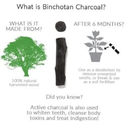 Black + Blum Binchotan Active Charcoal For Eau Good Water Bottles 4-pack -Greenpan Winkel 1200x1200 208