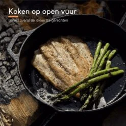 Ocina Gietijzeren Pan – ø30,5cm - Skillet - Koekenpan – Hapjespan – Koekenpan Inductie – Koekenpannenset - Gietijzeren Pan Bbq - Gietijzer -Greenpan Winkel 1200x1200 25