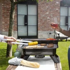 Princess 112252 Hybride Barbecue – Elektrische BBQ - Tafelmodel - 2000W - 44x 29cm - Gebruik Elektrisch Of Met Kolen -Greenpan Winkel 1200x1200 38