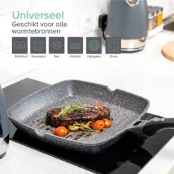 Coninx Grillpan 28CM - Steakpan - Afneembare Handgreep - PFAS-vrij - Grijs -Greenpan Winkel 1200x1200 550