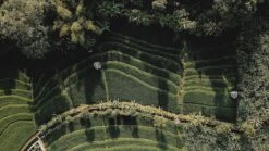 Sola Bestekset Bali - Modern - 9 Persoons - 90 Delig - Zilverwit Edelstaal 18/10 - RVS - Zilver -Greenpan Winkel 1200x675 7