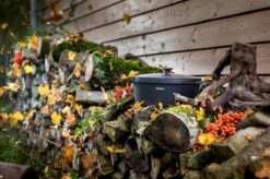 Tefal Trattoria Braadpan - Ø28 Cm - Inclusief Deksel -Greenpan Winkel 1200x799 15