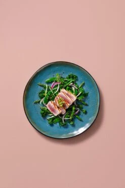 Palmer Serviesset Lotus Stoneware 6-persoons 24-delig Zwart Turquoise -Greenpan Winkel 801x1200 1