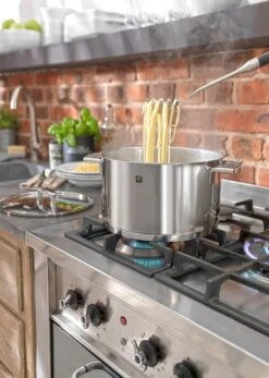 Zwilling Passion - Pannenset - 5-Delig -Greenpan Winkel 853x1200 1